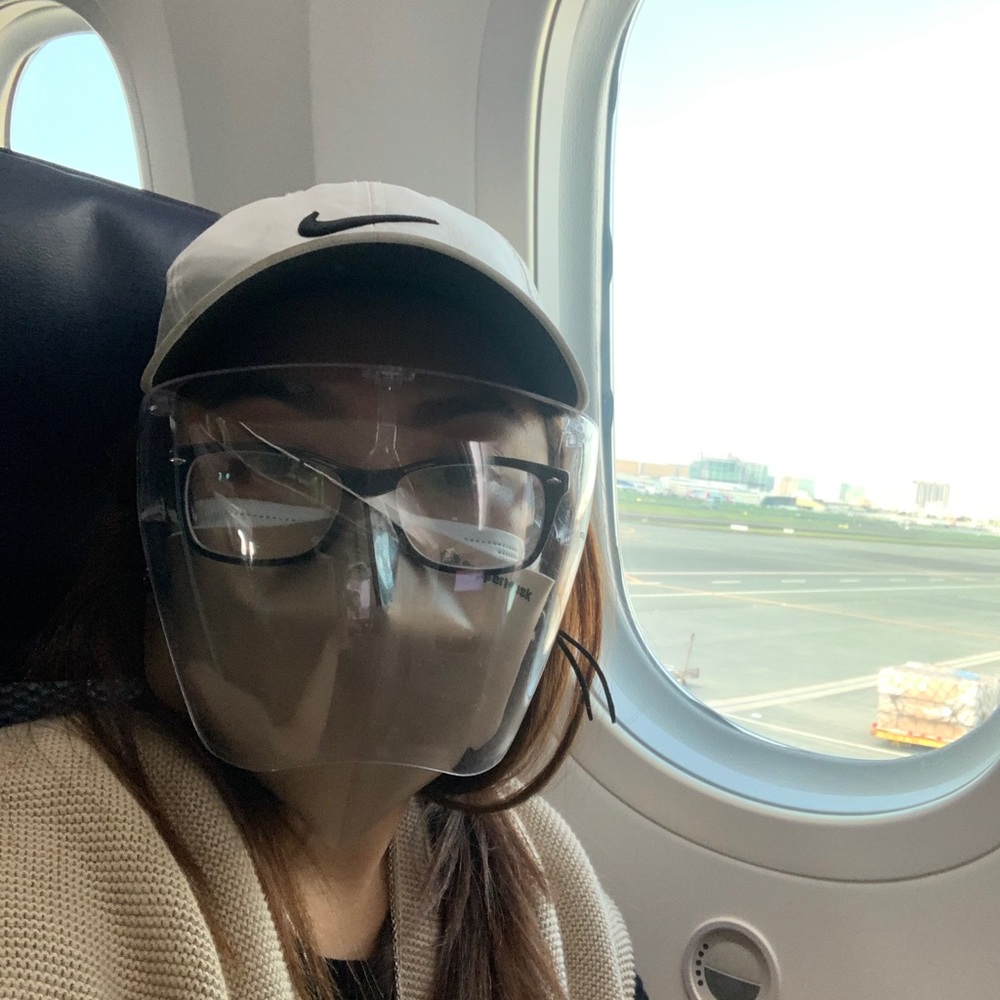 Face shield